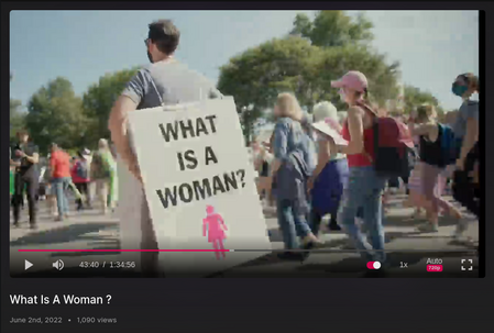 Matt Walsh attends the Womans March to Ask -- What is a Woman?